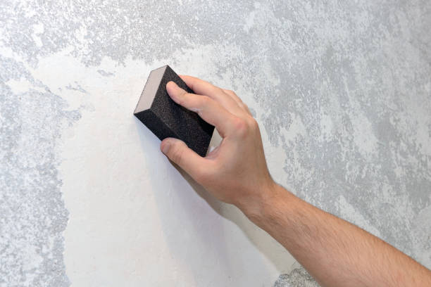 Best Emergency Mold Remediation  in Rochester, MI