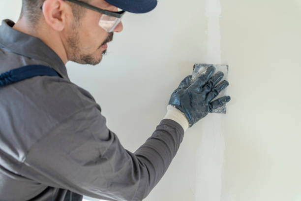 Rochester, MI Mold Removal Company