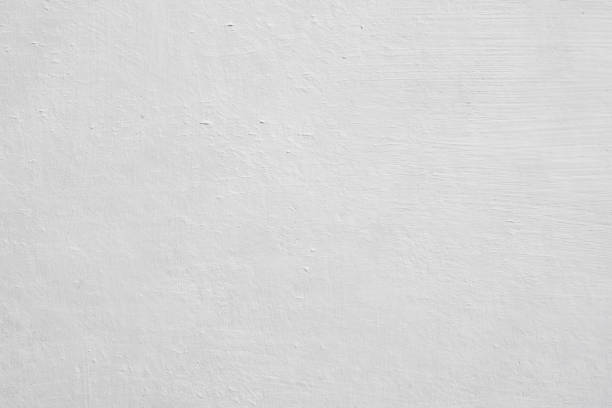 Environmental Consulting for Mold Prevention in Rochester, MI