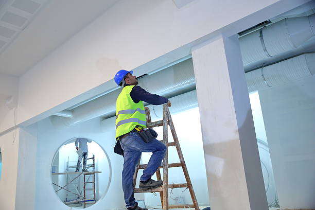Best Attic Mold Removal  in Rochester, MI