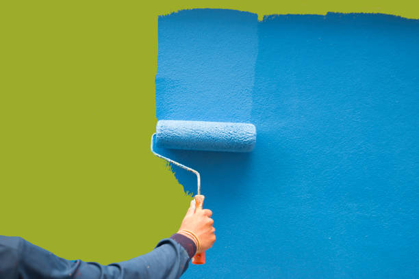 Professional Mold Removal in Rochester, MI